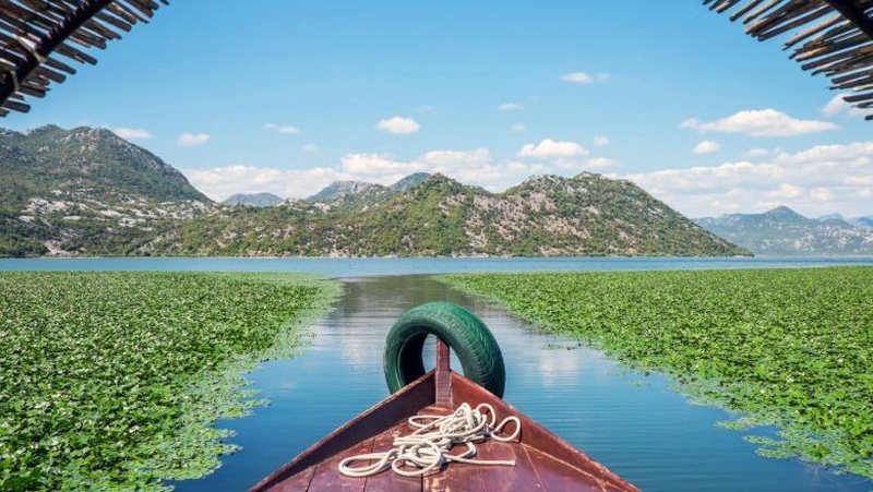 Liqeni i Shkodrës shpallet Rezervë Biosfere nga UNESCO, Rama: Rezultat i punës sonë diplomatike dhe kujdesit për këtë pasuri shqiptare