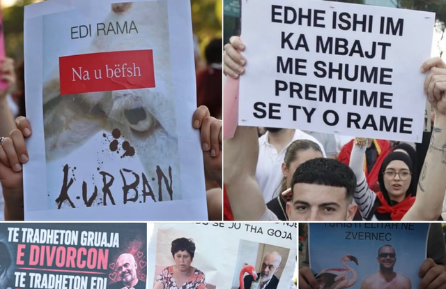 “Që je gomar kjo është diçka që duket”, Rama ndan memet nga protesta: Më argëton kreativiteti i tyre