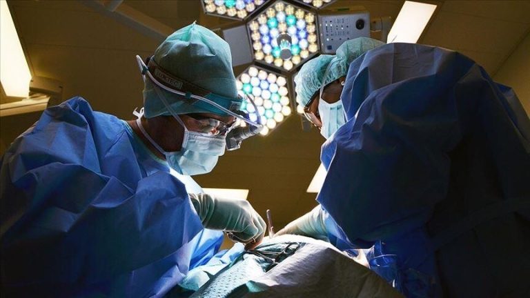 Kina realizon transplantin e parë në botë të mëlçisë dhe veshkave, nga derri te njeriu