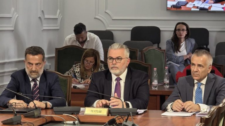Gogu në Komisionin e Ligjeve: Politika penale hyn në fazën e matjes së rezultateve