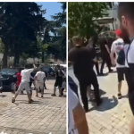 Revolucioni: nga pelikanët tek vezët mbi makina?