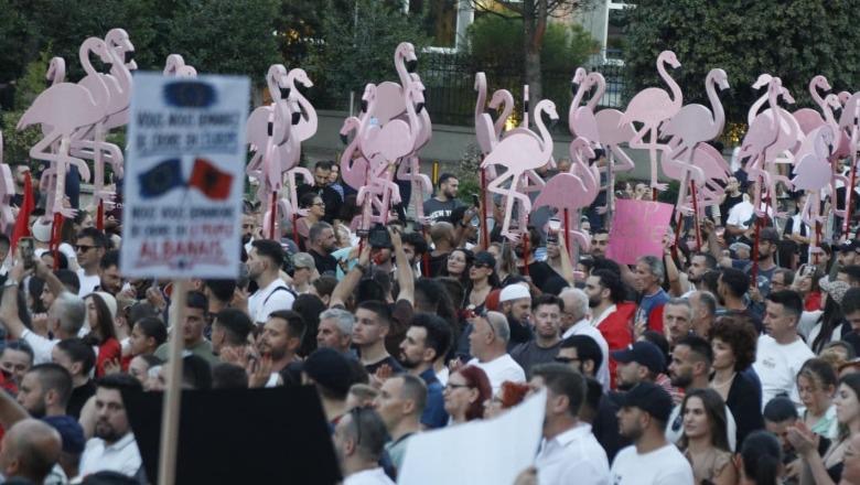 Ylli Manjani: Të 40-at e revolucionit të flamingove