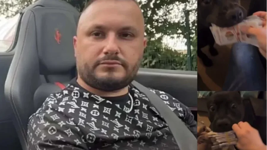 Trafikanti shqiptar karshillëk autoriteteve britanike, Dorian Puka “ushqen” qentë me kartëmonedha paund