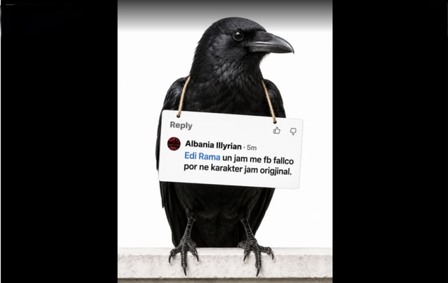 “Facebook fals, karakter origjinal”/ Rama i “dërgon” një korb komentuesit: Edhe qorr, edhe llapë, edhe me call center