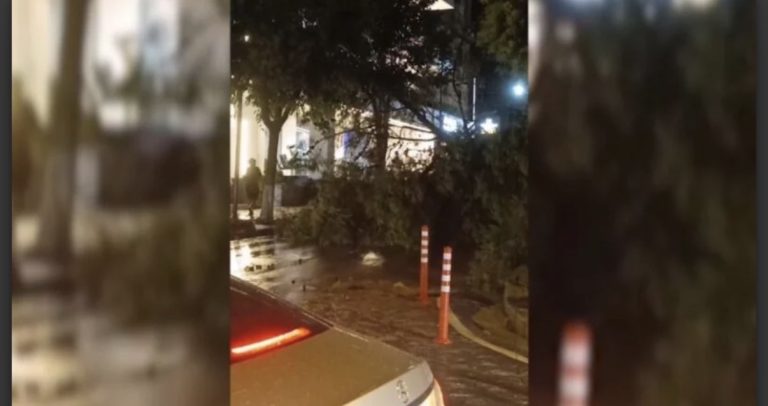 Stuhia shkaktoi defekt në rrjetin elektrik në Himarë, humb jetën gjatë ndërhyrjes punonjësi i OSHEE-së
