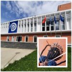 Kush është hoxha që u këndon grave dhe vajzave të PD-së kundër magjisë dhe për të mbajtur burrat nën kontroll